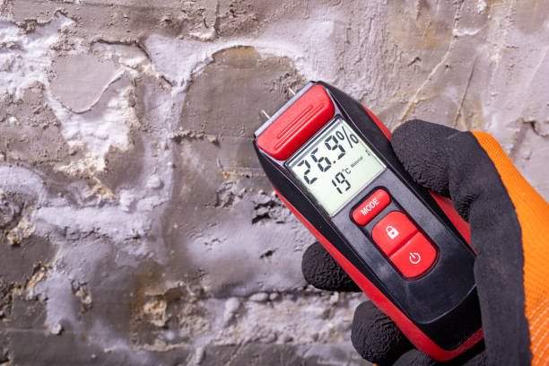 Professional Mold Remediation in Fergus Falls, MN