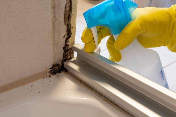 Best HVAC Mold Remediation in Fergus Falls, MN