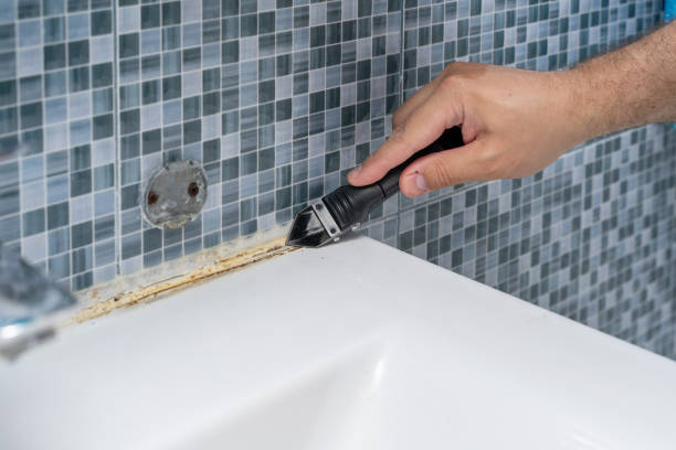 Best Emergency Mold Remediation in Fergus Falls, MN